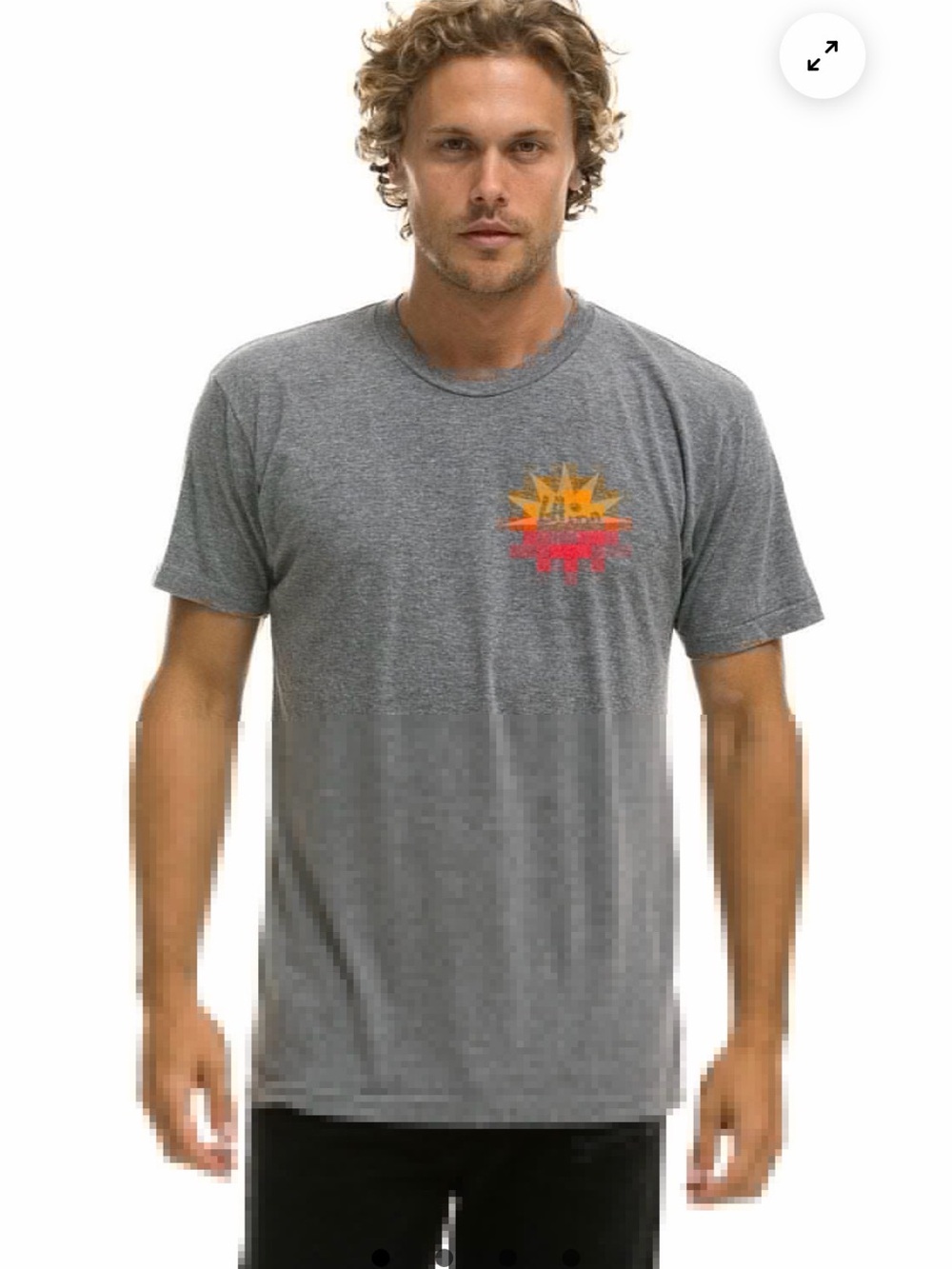Aviator Nation Tee Large New